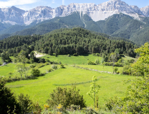 Vistes al parc natural del Cadí-M