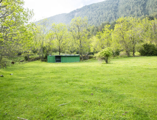 Terreny d'acampada el Pla Rodó